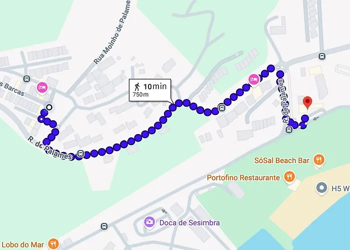 Apartment Garden Bbq & Walk To 10min-sesimbra